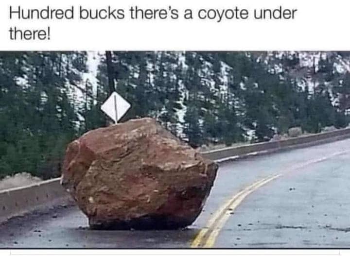 coyote rock.jpg