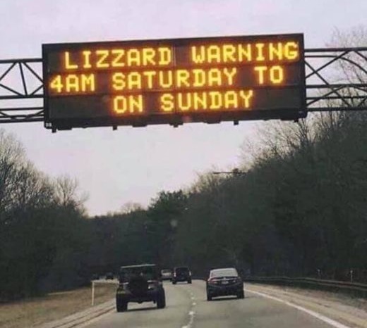 Lizard Warning.jpg