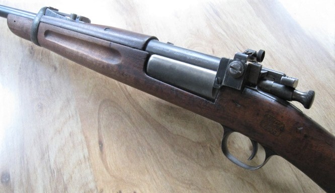 a faux1896 with Redfield peep.jpg