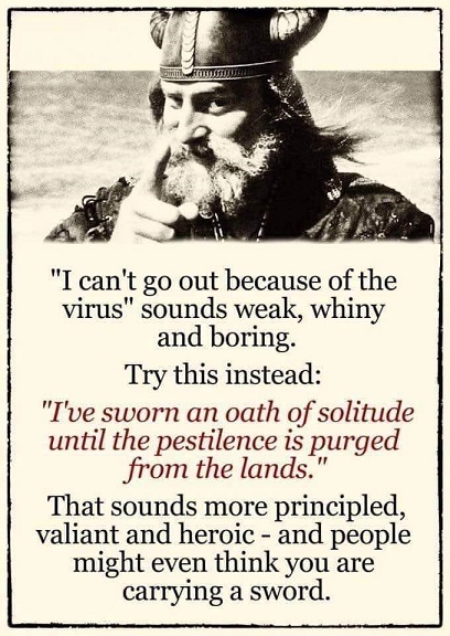 viking wisdom.jpg