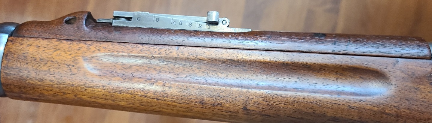 Italian n American walnut contrast.jpg