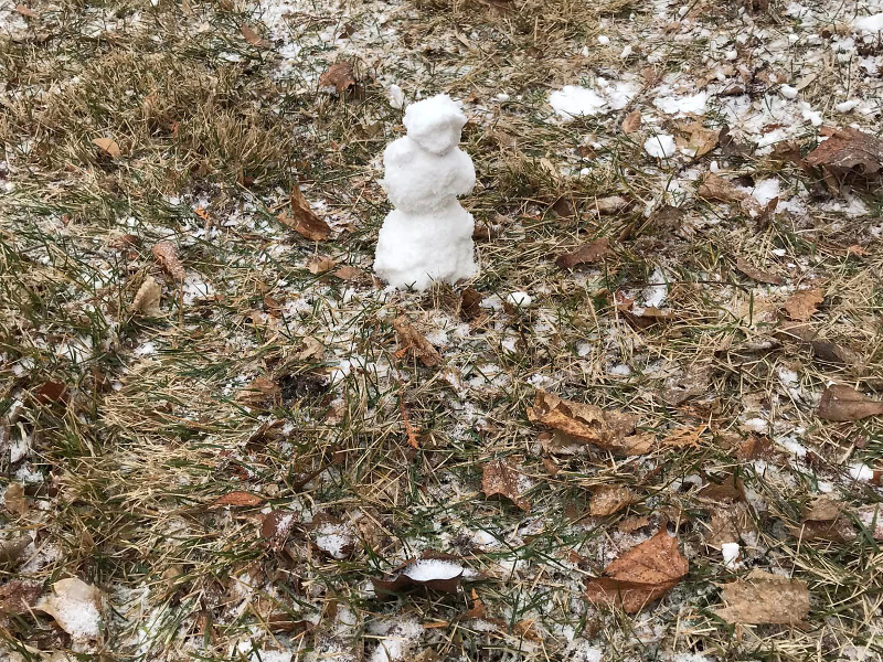 Worlds smallest snowman.jpg