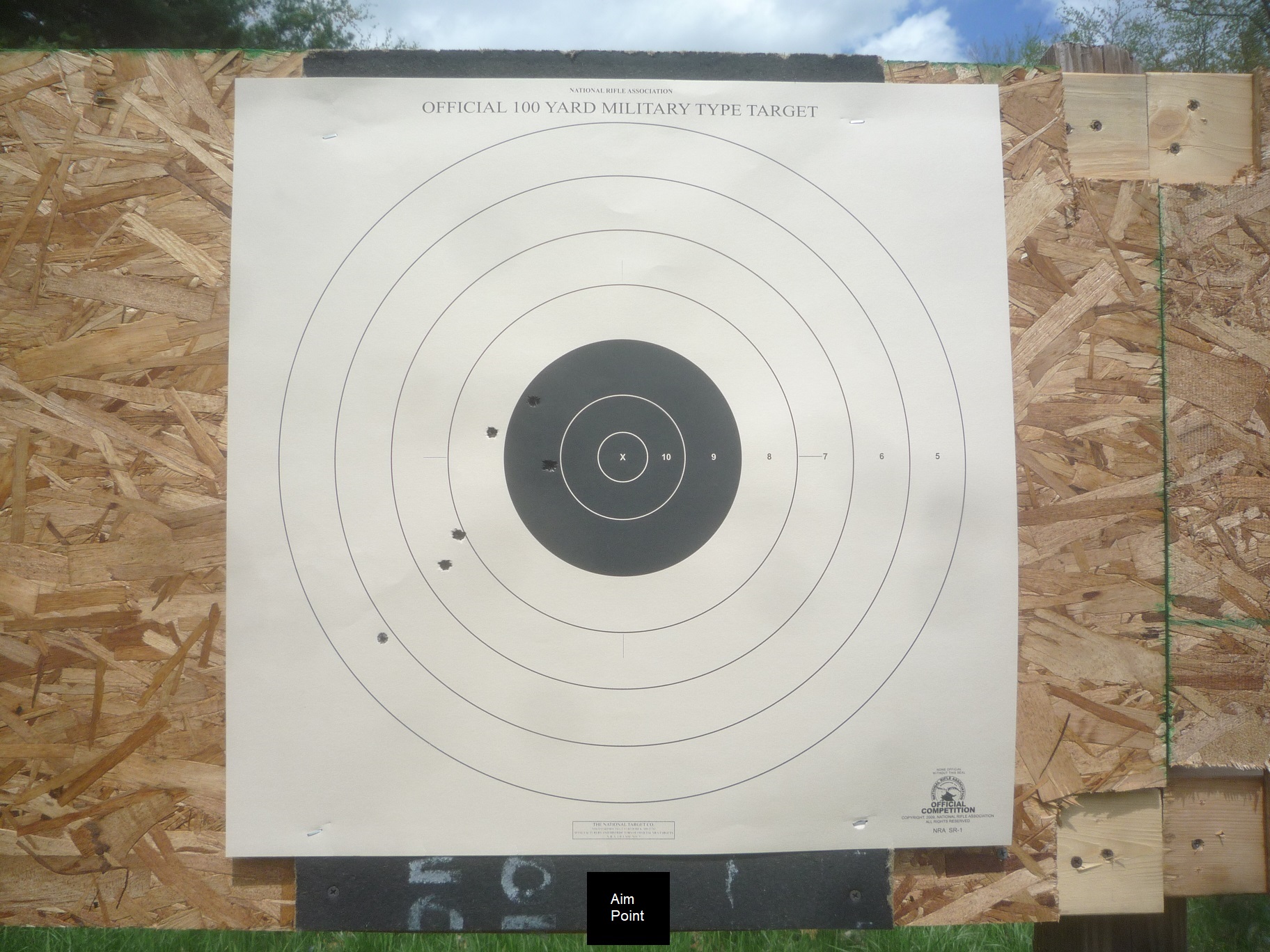 3140 project at one hundred yards with 1894 rear sight..jpg