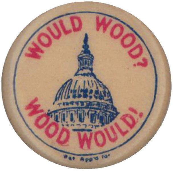Leonard_Wood_campaign_button_1920.jpg
