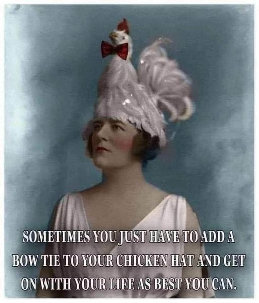 chicken hat.jpg