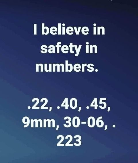 'I believe in safety in numbers. .22, 40, .45, 9mm, 30-06,. 223'.jpeg