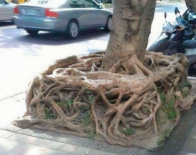 square root.jpg