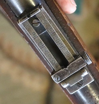 a carbine 1896 sight.jpg