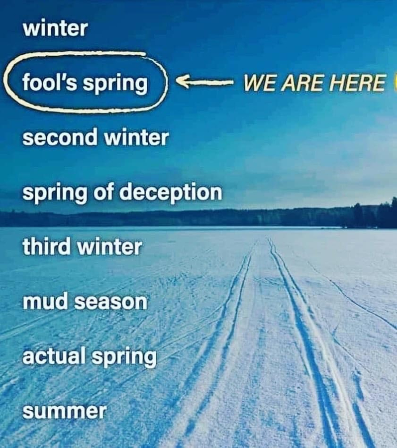 Michigan Weather report.jpg