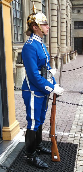 Swedish Guards-2.jpg